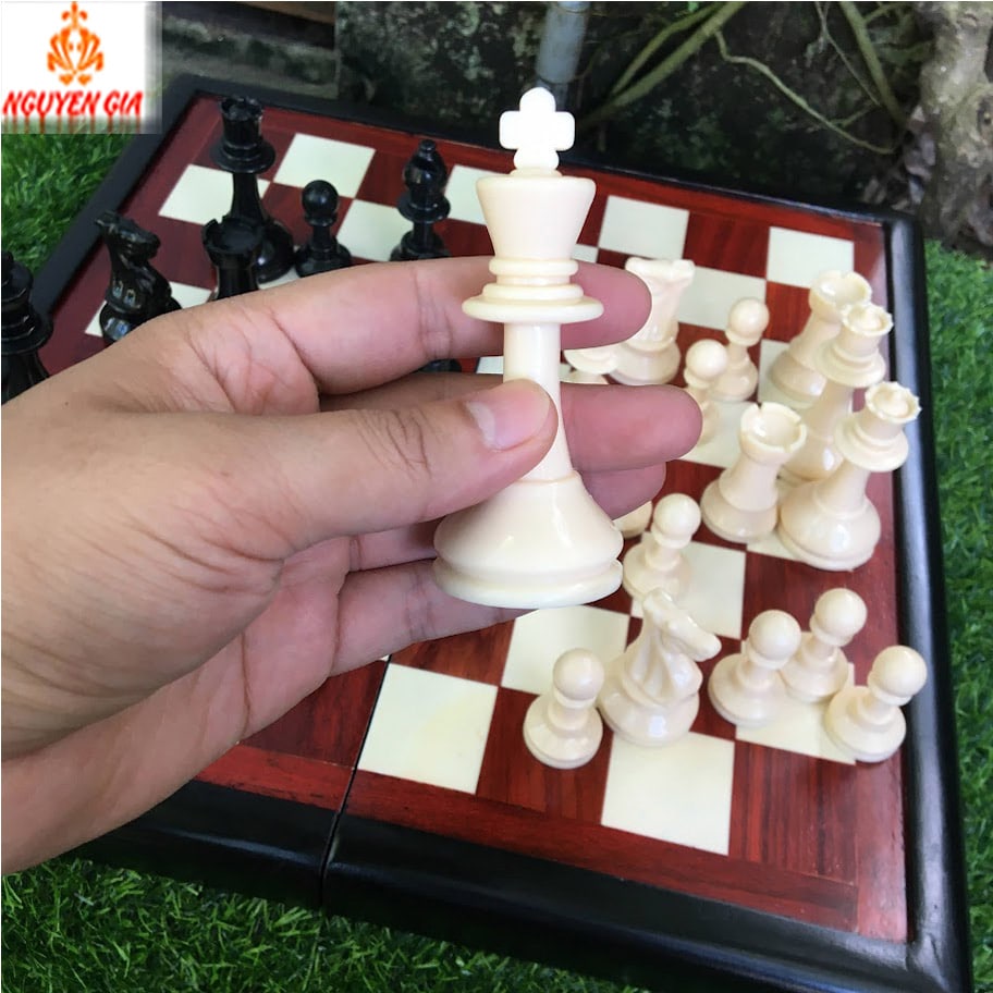 Bộ cờ vua